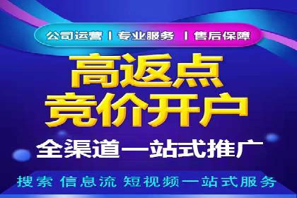 SEM搜索引擎优化：成功案例解析